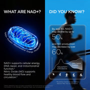 Daily NAD+ for Men