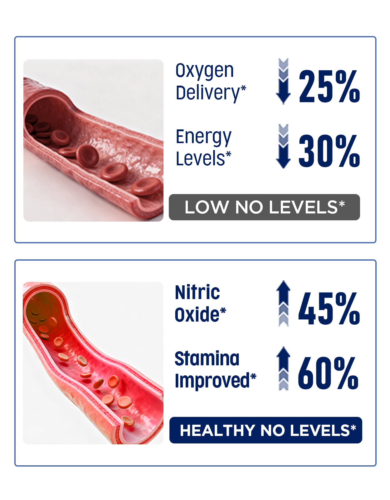 Nitric oxide pathway support